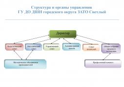 Структура и органы управления государственного учреждения дополнительного образования "Детская школа искусств" городского округа ЗАТО Светлый Саратовской области